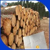 Large diameter high quality wood logs Africa rosewood logs