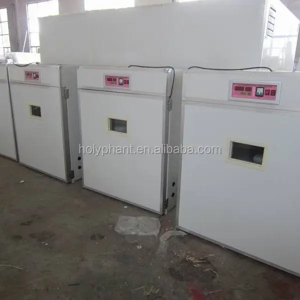Full Automatic Chicken Eggs Incubator For Sale - Buy Chicken Eggs
