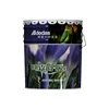 Adedas Good scrubbing Strong Bacteriostasis No VOC removable washable asian Aerobic Breath Wall Paint