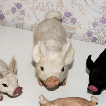 mini plastic pigs