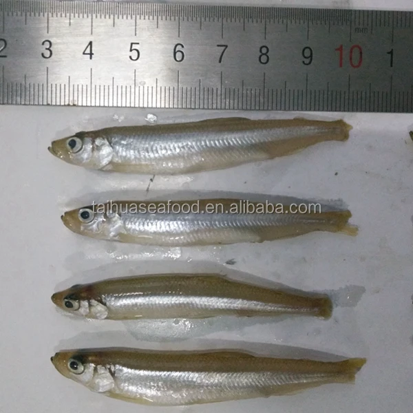 Iqf Frozen Whole Fish Clean Pond Smelt Fish Buy Iqf Fish,Pond Smelt