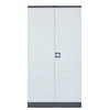 Simple Modern Design Steel Office 2 door file locker