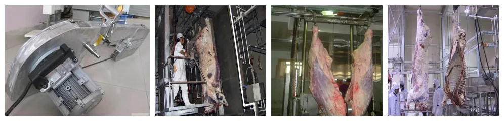 Half carcass band splitting saw cattle beef slaughterhouse equipment