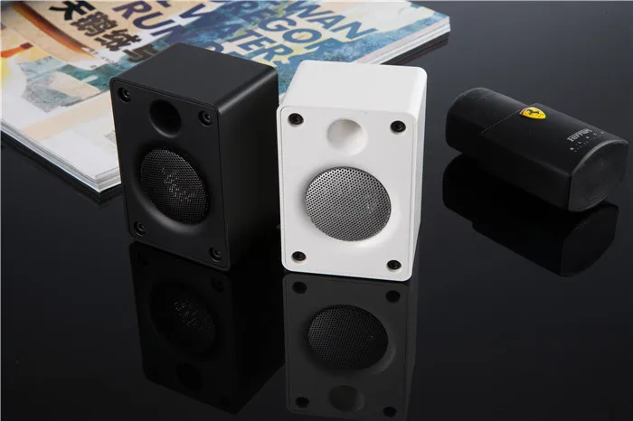 speaker (11).JPG