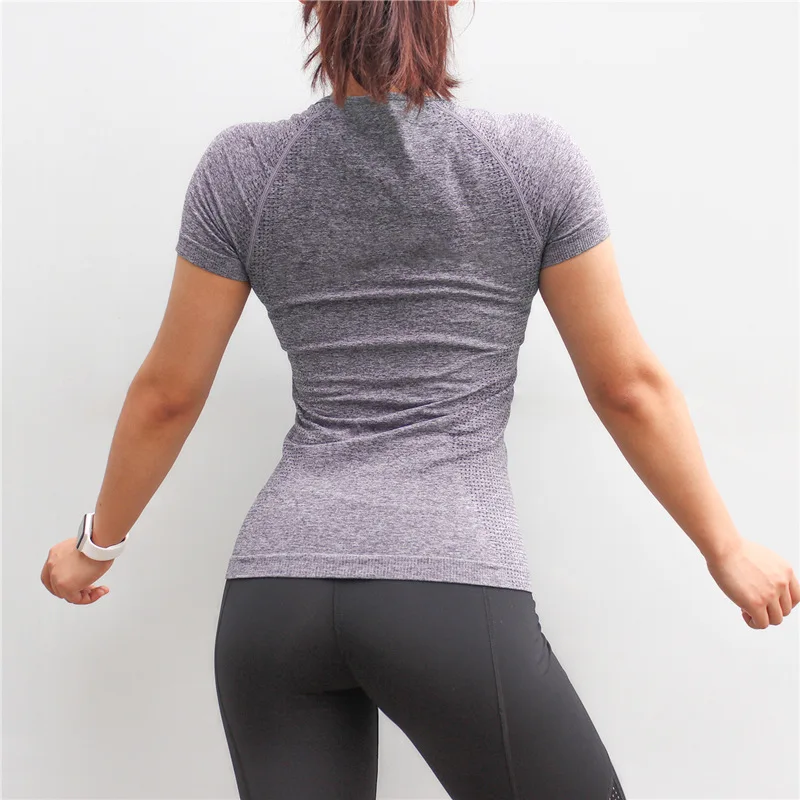 Wholesale sublimation seamless dry fit lady gym wear top women sport t shirt
