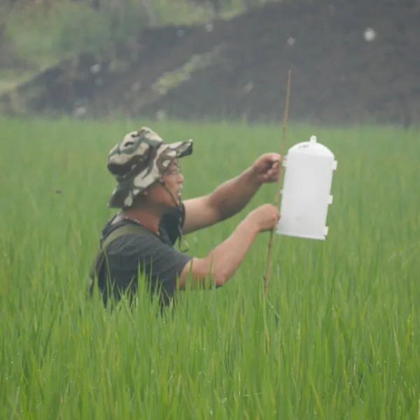 Turbination trap 2.jpg