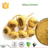 Chinese herb free sample energy enhancement macamides macaenes maca extract powder