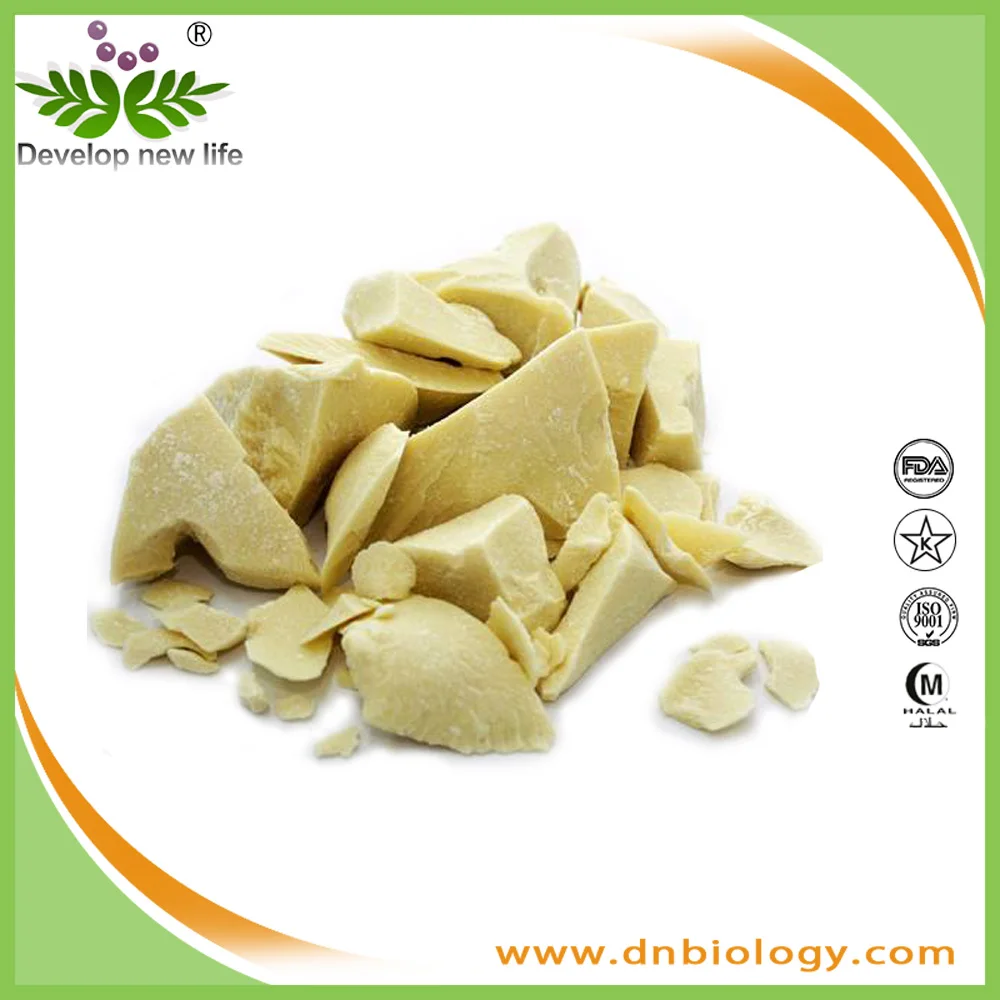 Wholesales Best Quality Edible Cocoa Butter With Favorable Price Buy