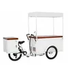 /product-detail/europe-style-electric-solar-ice-cream-vending-tricycle-with-ice-box-62170613312.html