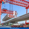Precast segmental box girder low cost formwork