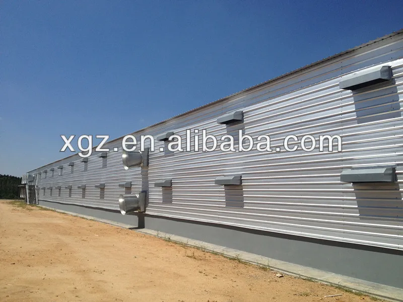 10000 Broiler Birds Poultry House With Full Automatic 