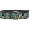 Martingale dog collar 1.5" greyhound lurcher whippet. Woven Peacock