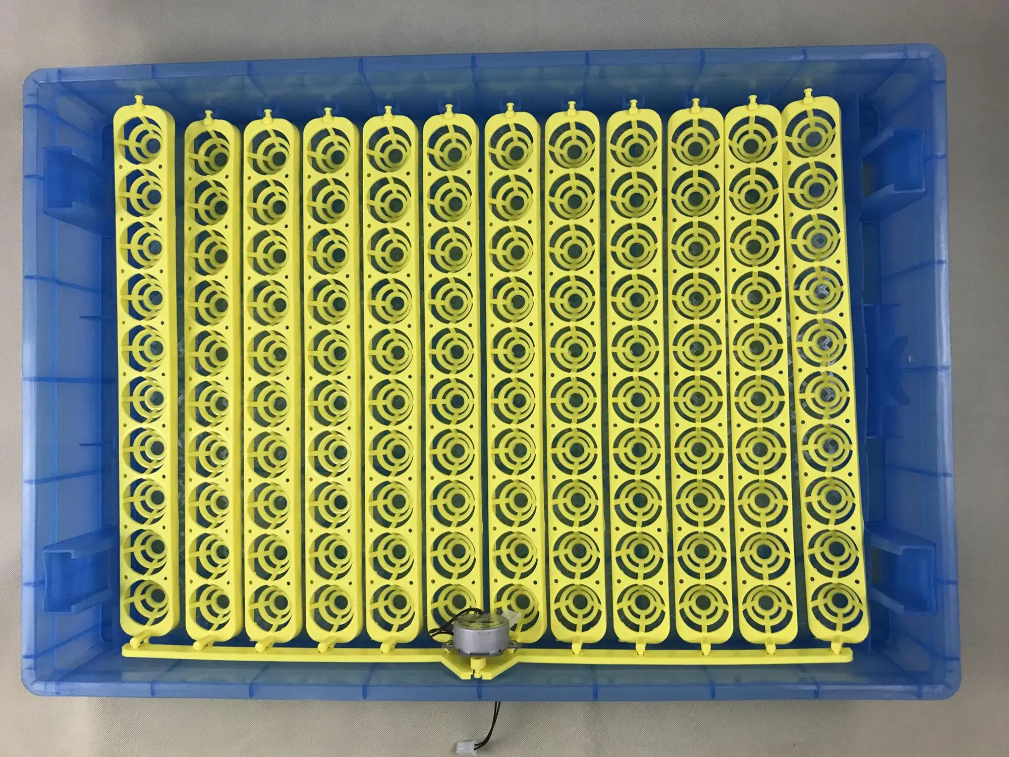incubator egg trays philippines