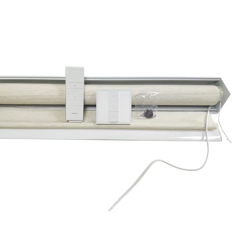 Hot Selling Remote Control Wireless Diy Motorized Zebra Day And Night