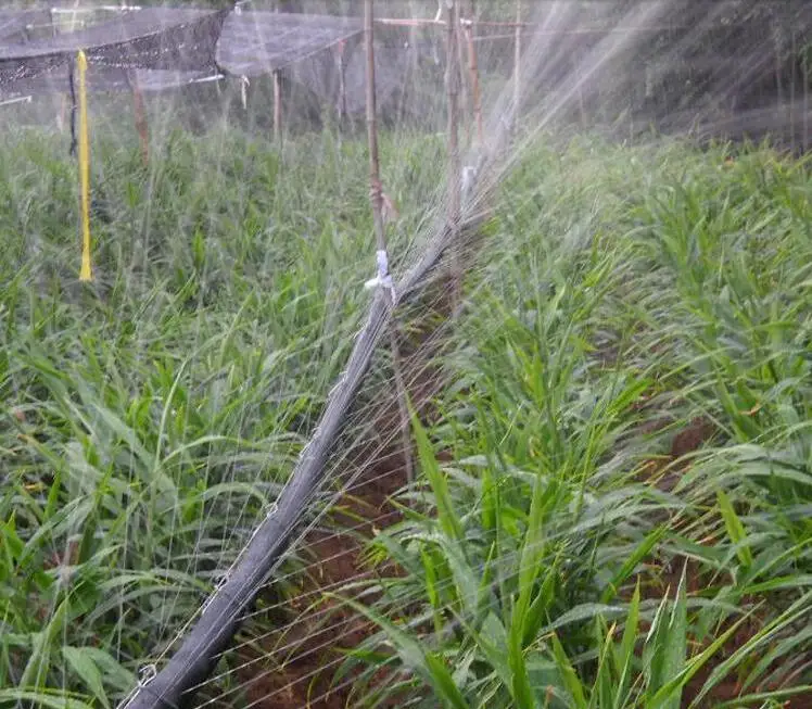 Garden Water Plastic Material drip irrigation hose Micro Spray agriculture PE Tape