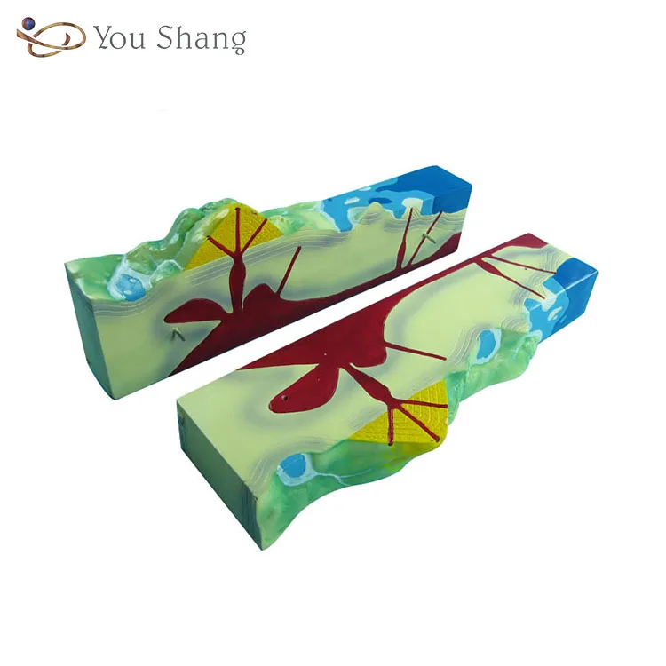 Geography Teaching Aids, Geography Teaching Aids direct from Yiwu