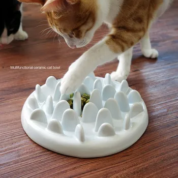 slow feed cat bowl