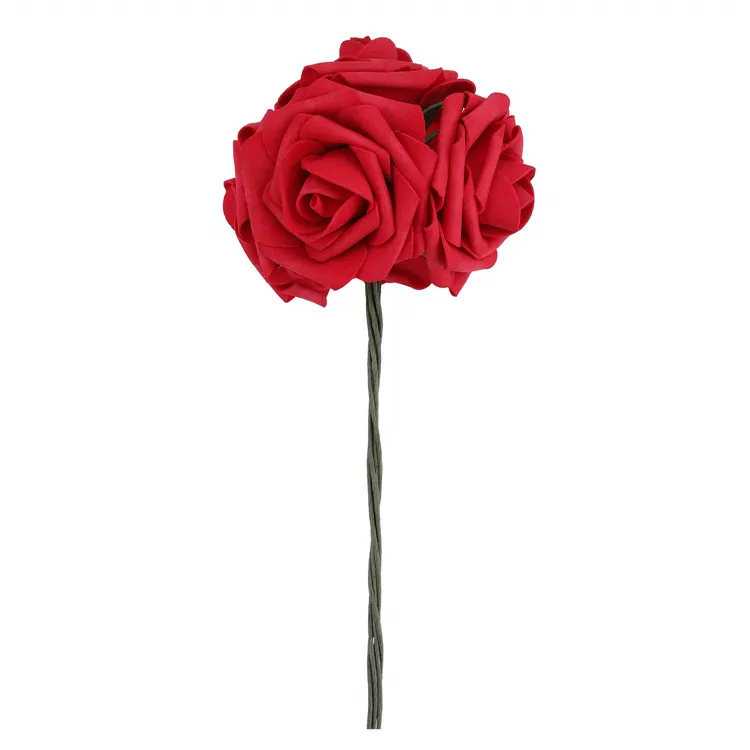 61BUCVErF3L._SL1500_.jpg