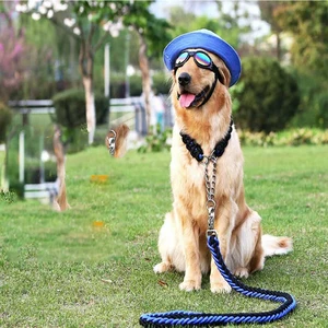 wireless dog leashes wireless dog leashes