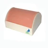 medical training model and medical simulator /muscle injection training model