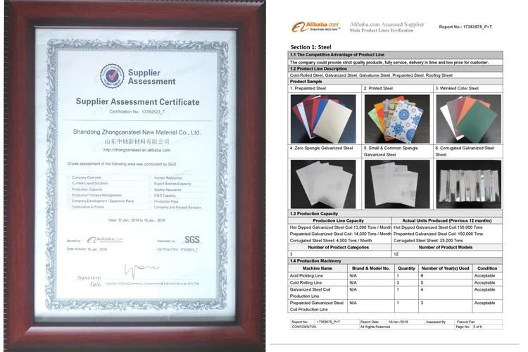 SGS-certificate.jpg