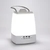 Portable handheld Dimmer bluetooth speaker rechargeable led light for Kids Cute Nursery