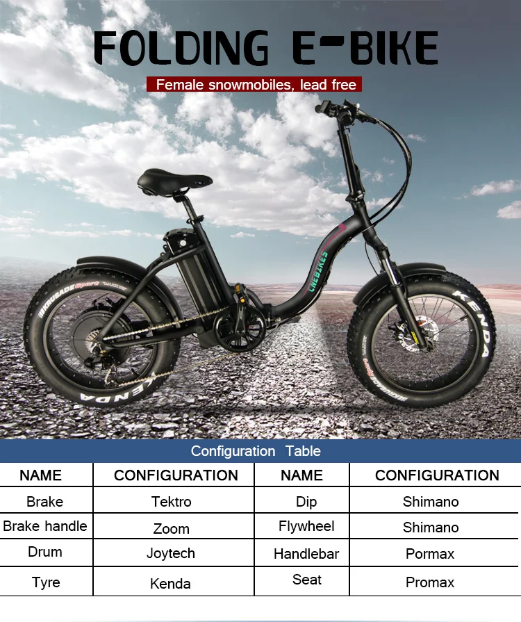 zoom folding electric bike