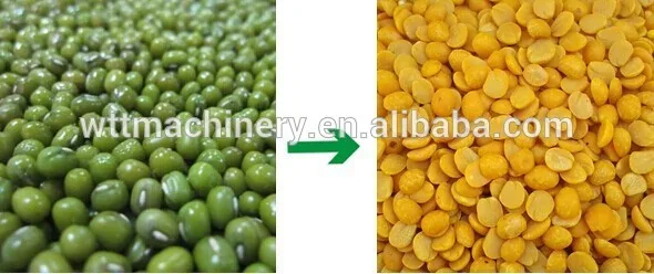 2017 Win Tone Brand Mung Beans Skin Removing Machine.jpg
