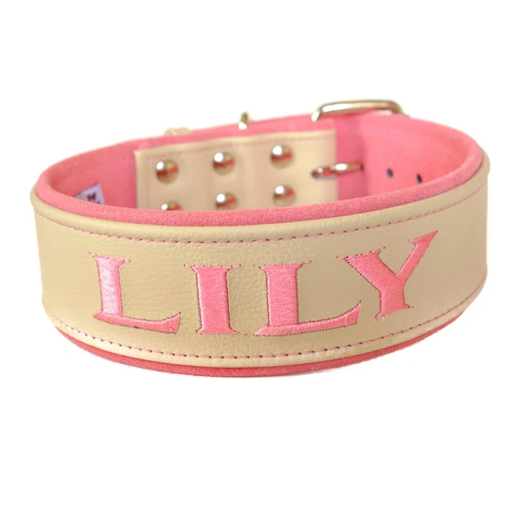 thick personalized dog collars