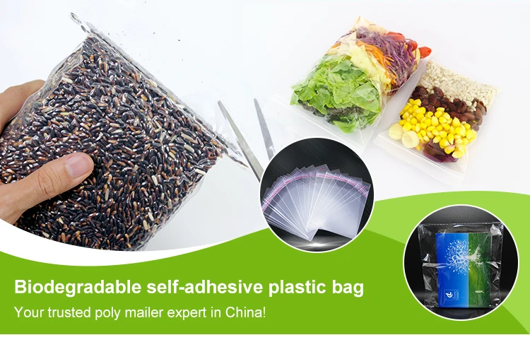 self adhesive bag.jpg