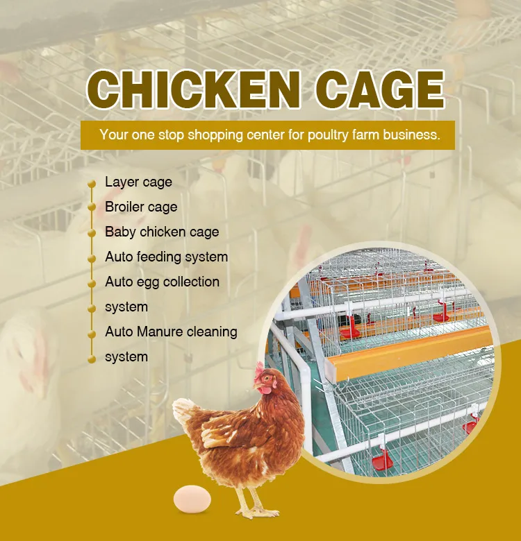 Download Wholesale Cheap Price 10000 Layer Chickens Farm Bird Cage ...