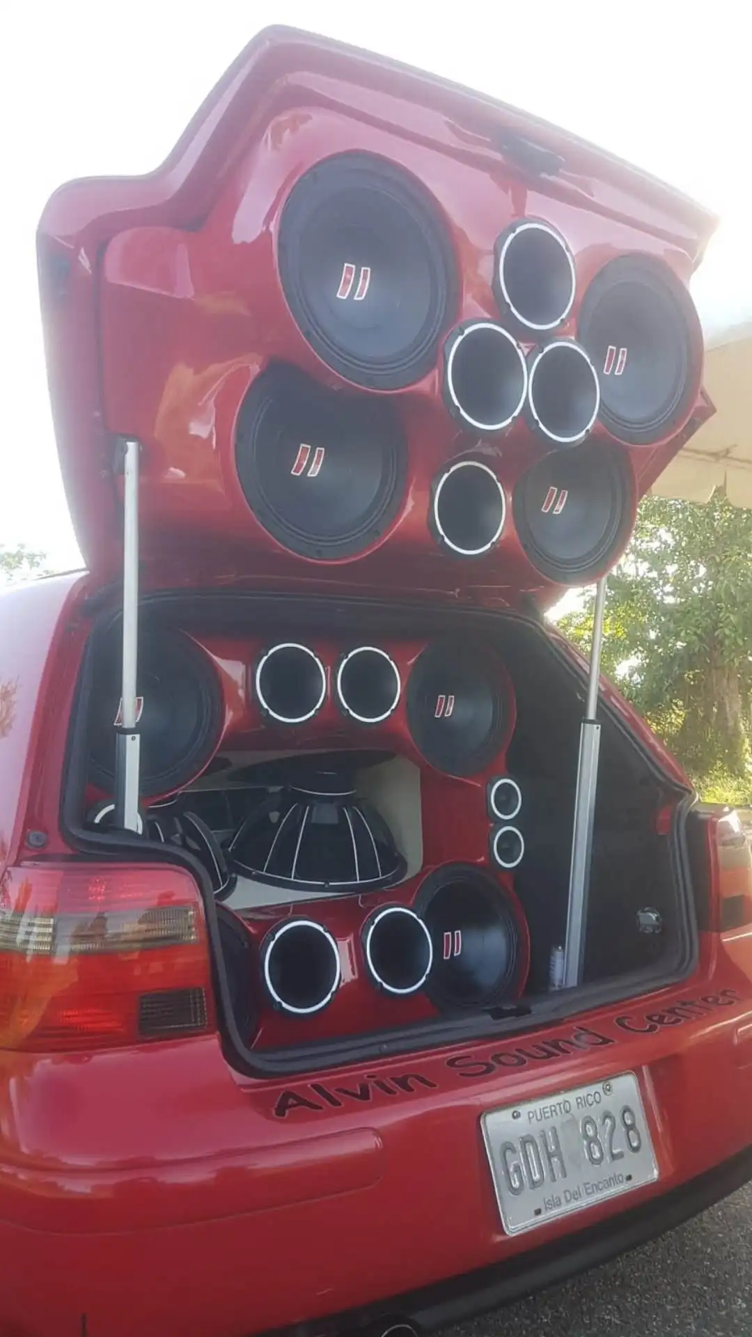 10 inch mid-bass .jpg