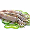 Frozen whole clean seafood baby squid