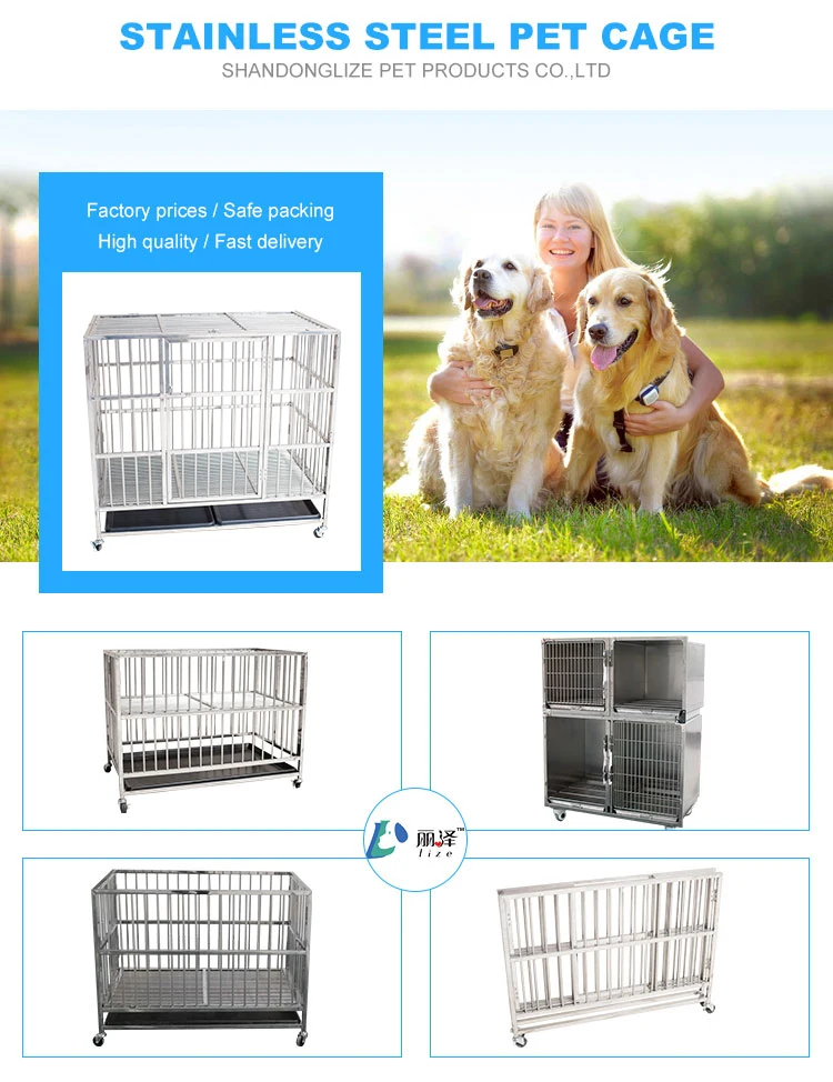 Heavy Duty Stainless Steel Dog Cage Pet Kennel On Sales Buy Heavy Duty Dog Cage Stainless Steel Pet Kennel Hot Sale Dog Cage Pet Kennel Dog Cage Jaula Veterinaria De Acero