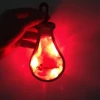 Camping Gear Safety Lights, Reflective Bag Tags Clip-On PVC Light Up Reflective Bands for Backpack, Tents, Bicycles,Cycling Runn