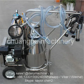 Male Milking Machine With Gasoline Engine In Cow Farm Buy Milking