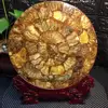 100% Natural Ammonite Slice Gemstone Plate for DIY Agate Clock Home Decoration