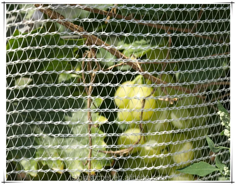 Apple Tree Anti Hail Net,Fruit Tree Netting Buy Fruit Tree Netting