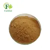 Pure Natural Seabuckthorn Flavone Extract 5% Sea Buckthorn Extract