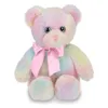 Customized Stuffed Animal Plush Rainbow Teddy Bear