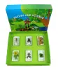 Science Toys of Acrylic Embedded Specimen