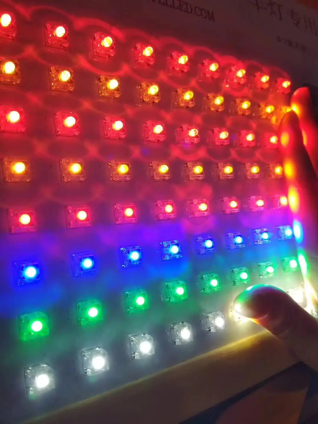 piranha leds 2.jpg