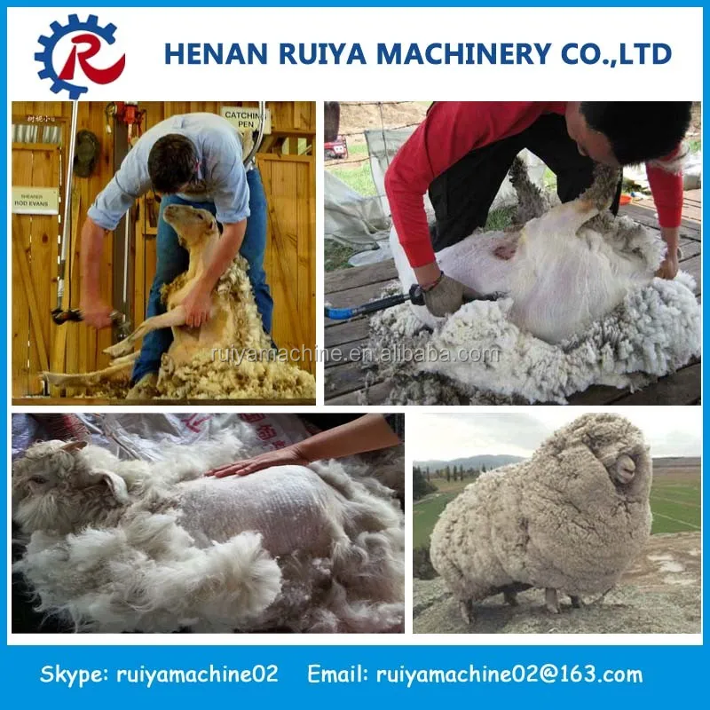 Small Vibration Sheep Shearing Machines Buy Sheep Shearing Machines,Fast Speed Sheep Shaver