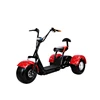 /product-detail/electric-tricycle-three-wheel-motorcycle-1200w-new-three-wheel-electric-scooter-60767450268.html