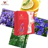 2 in 1 OEM foot pads detox feet patches healthcare foot patch green tea patch