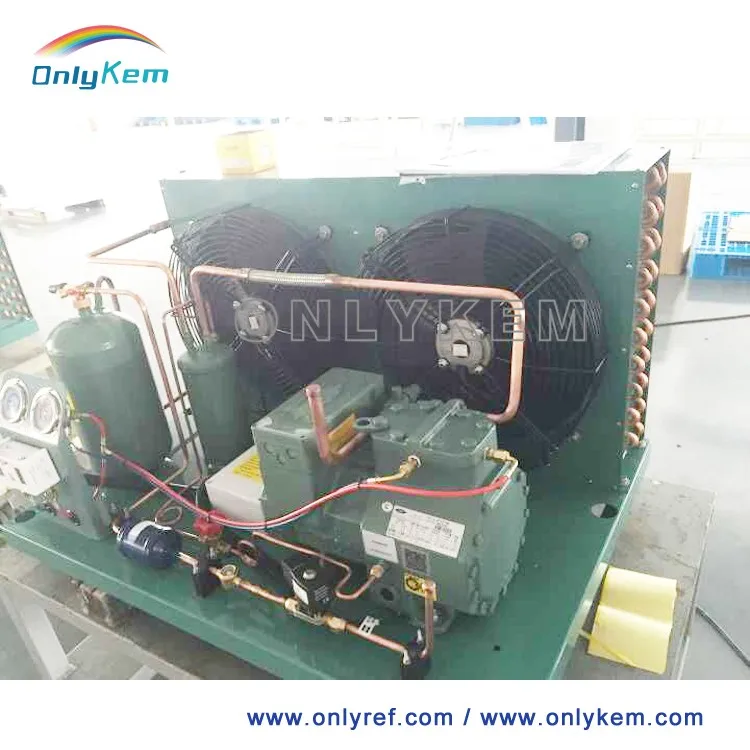 Low Temperature Bitzer Condensing unit 20HP for Shrimp Cold Room