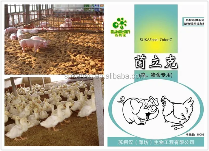 animal farm odor control beneficial bacteria SUKAFEED fermentation Bed Bacteria.jpg