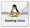 Website Hosting