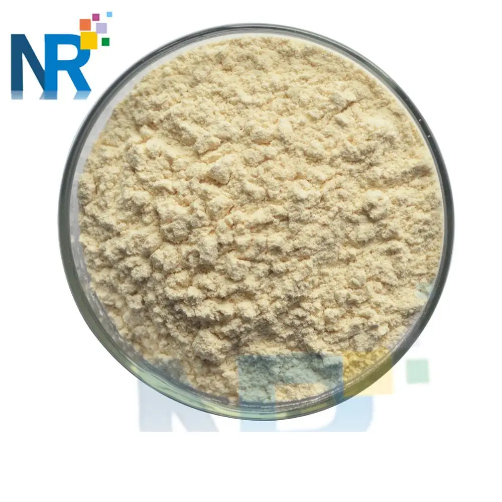 
Factory price bulk edible casein powder 