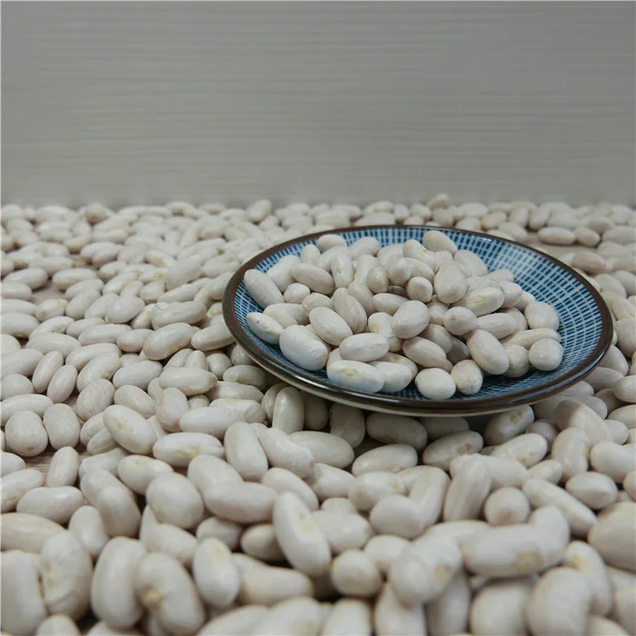 New white kidney bean in 2020 season for food